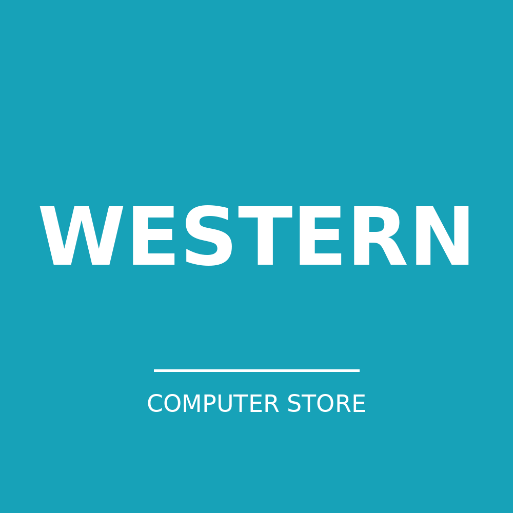 Western Digital Ultrastar DC SN861 0TS2526 3.84 TB Solid State Drive -